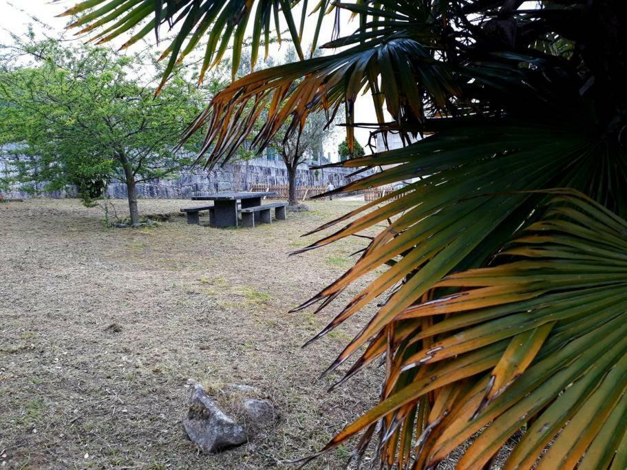 Casa Pio, Vistas Islas Cies Nigrán Eksteriør bilde